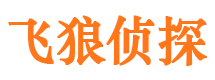 东山私家侦探公司